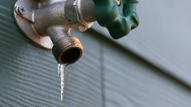 Best Clogged Drain Plumber  in Lake Barcroft, VA